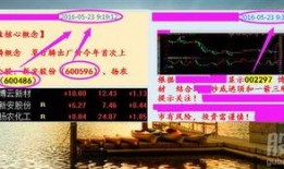 钱串子最新爆料,揭秘娱乐圈最新动态